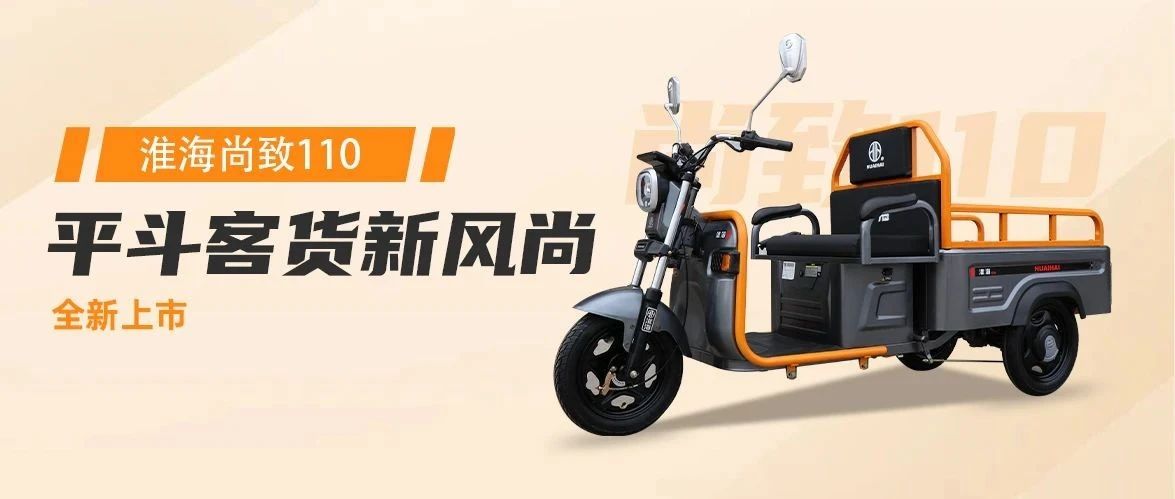 极致标杆淮海尚致110全新上市